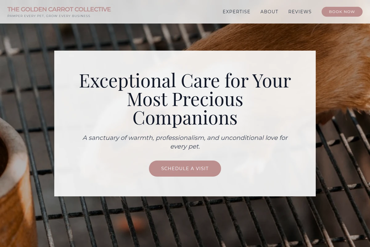 TheHutch Animal Care