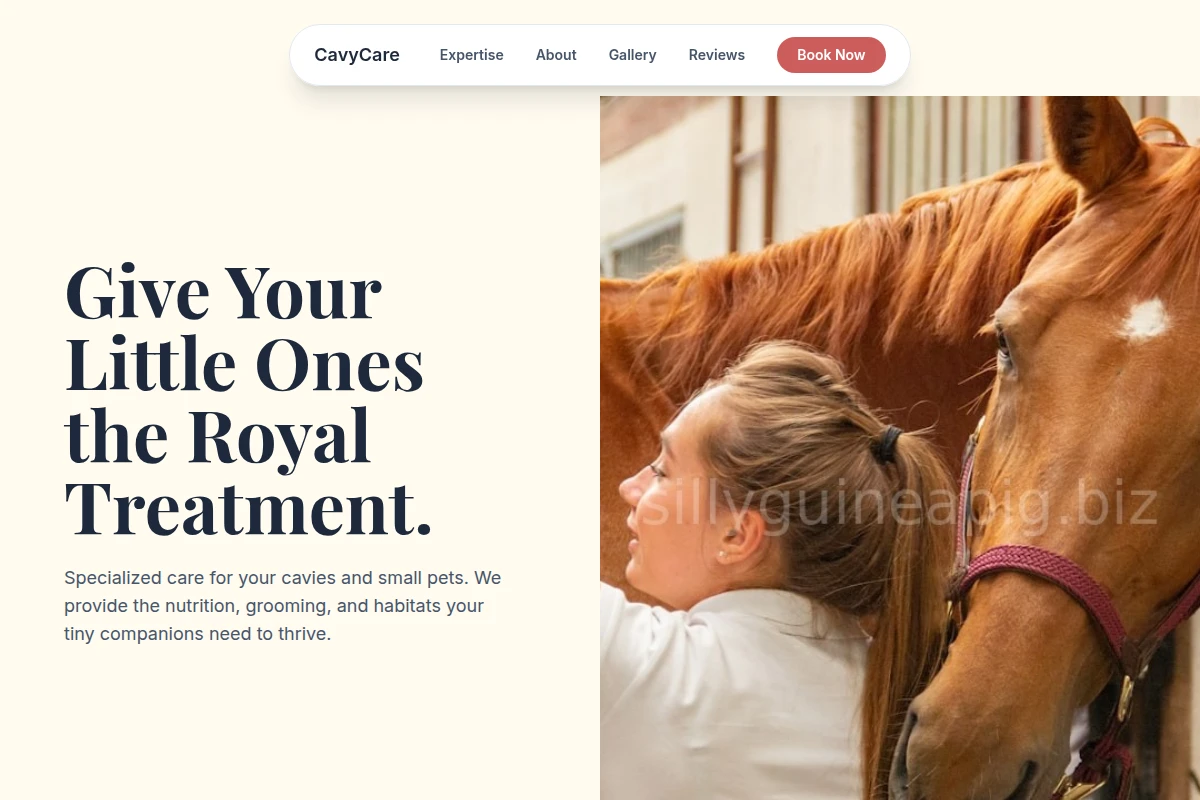 CavyCare Animal Care