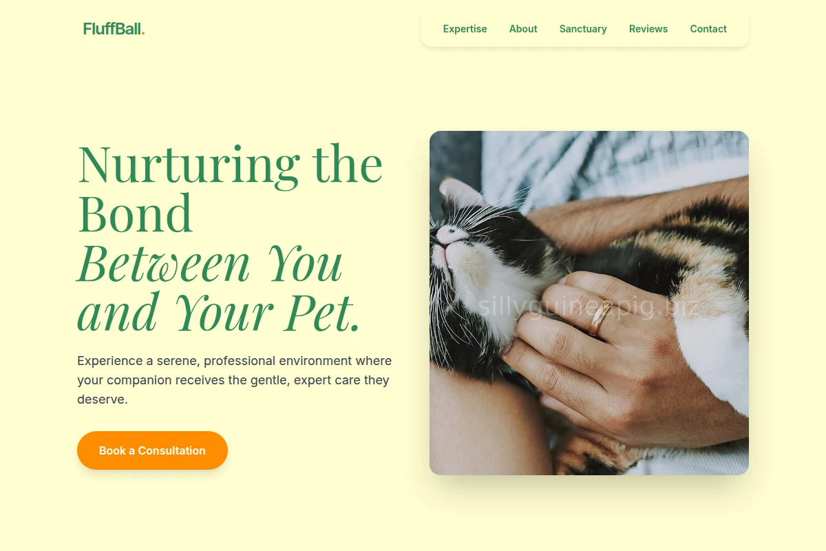 FluffBall Animal Care