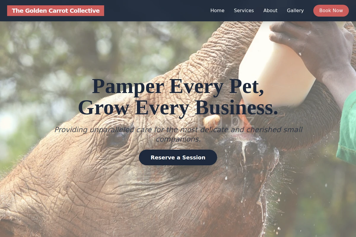 animal-care