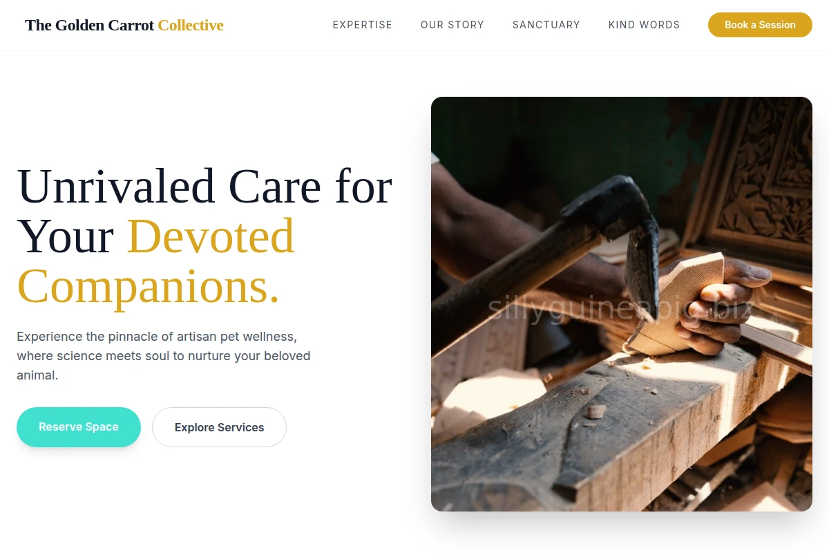 PawsAndClaws Artisan