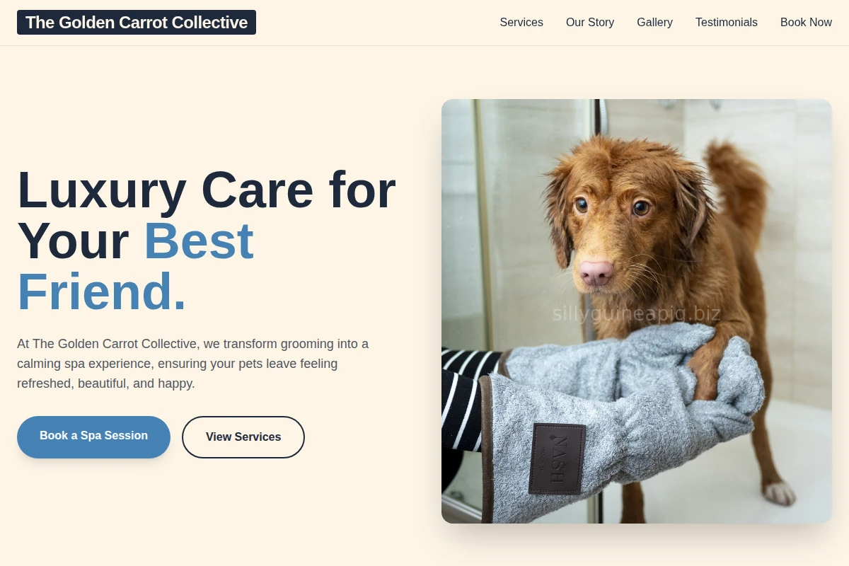 TidyCage Pet Grooming