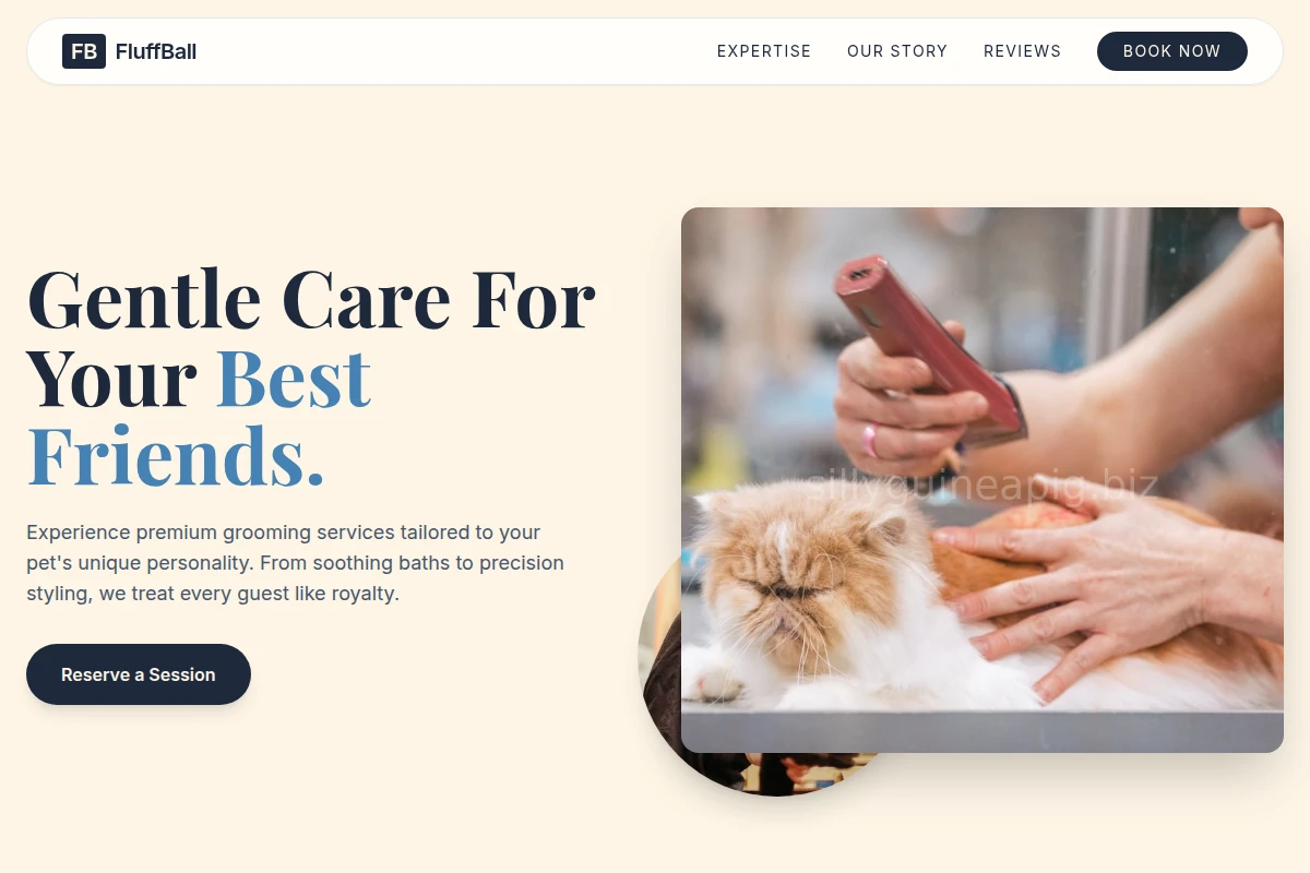 FluffBall Pet Grooming