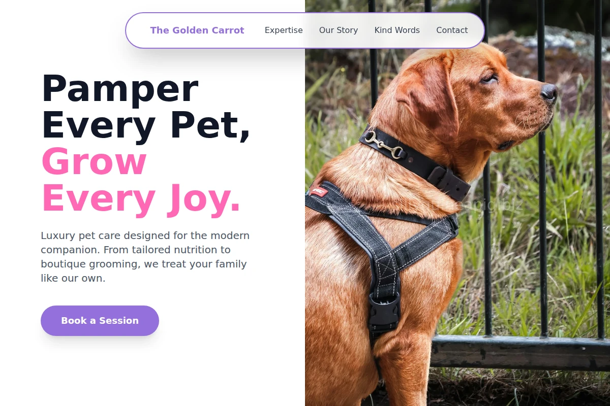 AnimalAlly Pet Services