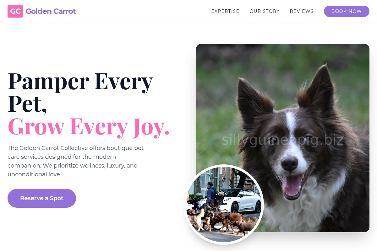 PetPantry Pet Services
