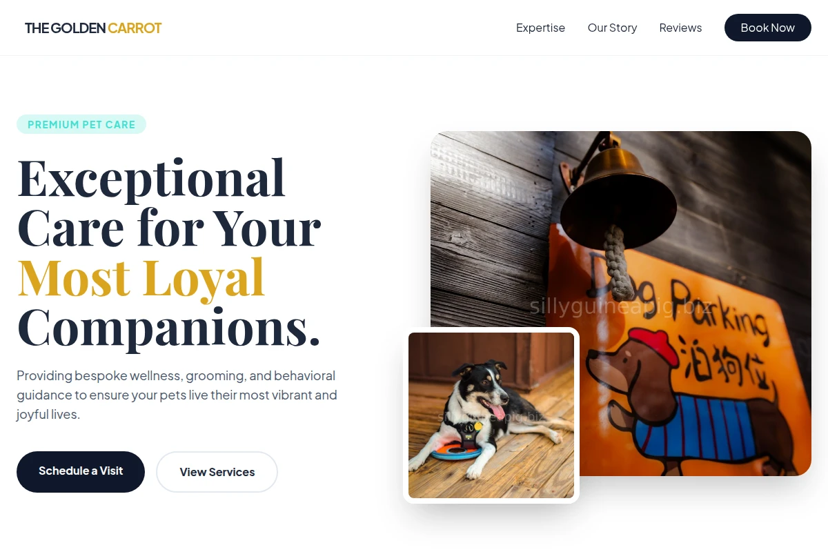 PetPioneer Pet Services