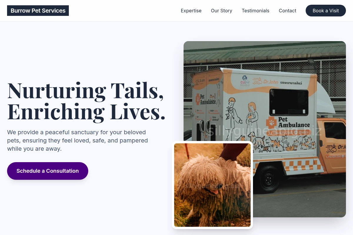 Burrow Pet Services