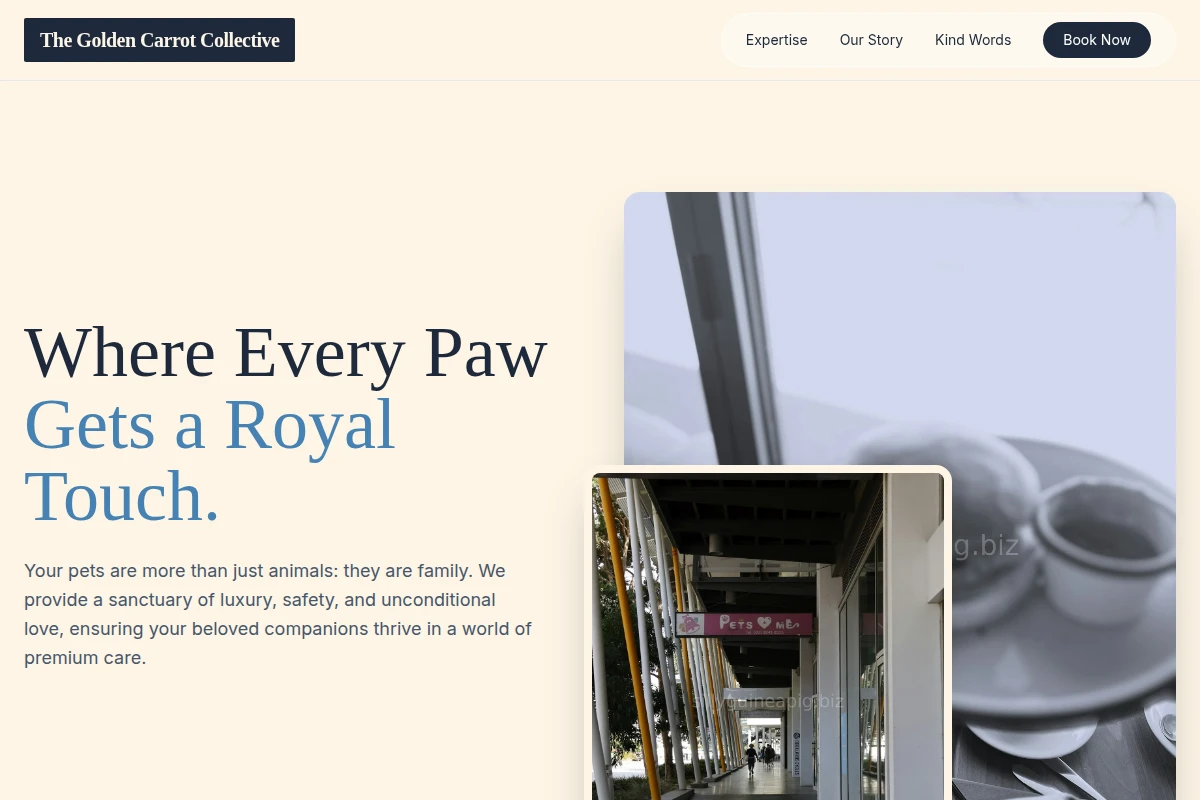 AnimalAlly Pet Services