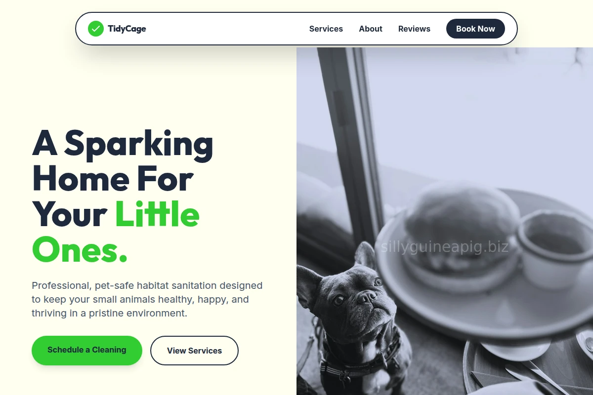 TidyCage Pet Services