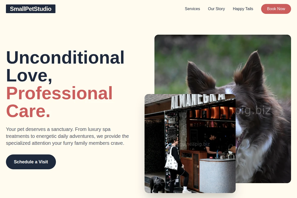 SmallPetStudio Pet Services