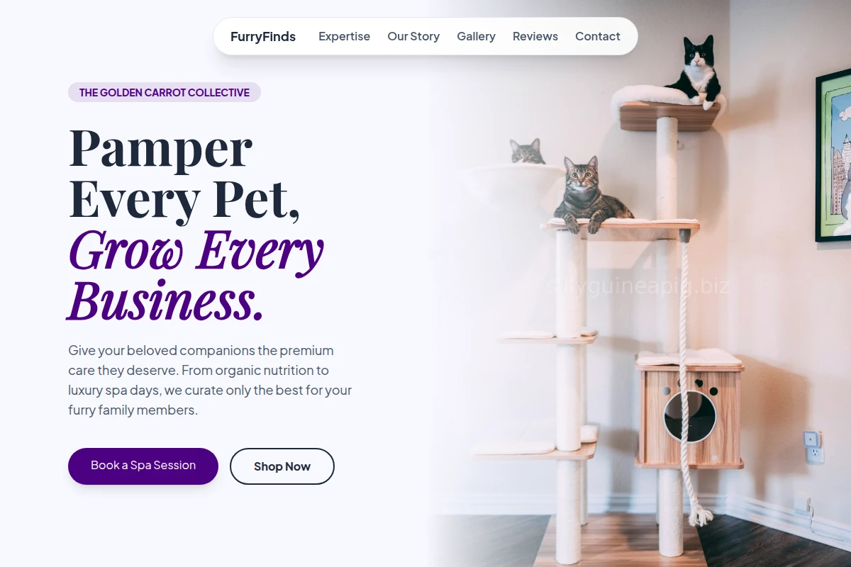 FurryFinds Pet Shop